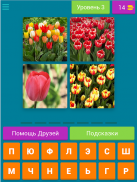 4 фото 1 слово.Бесплатные игры screenshot 6