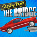 Survive The Bridge Icon