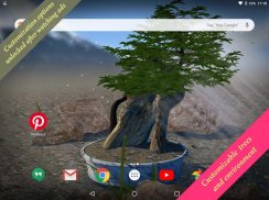 Bonsai 3D Live Wallpaper screenshot 4