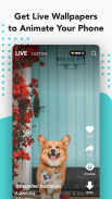Nox Lucky Wallpaper - HD Live Background, 4K, 3D screenshot 4