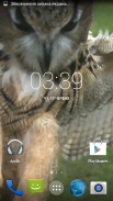 Flying Owl Live Wallpaper screenshot 4