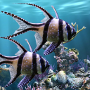 The real aquarium - Live Wallpaper Icon