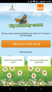 Big Butterfly Count screenshot 1