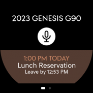 Genesis Intelligent Assistant screenshot 9