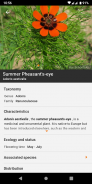 Flora Incognita - automated plant identification screenshot 5