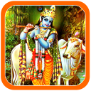 Lord Krishna Photos Wallpaper Icon