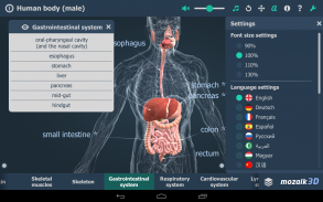 Menselijk lichaam 3D screenshot 17