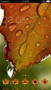Dew Drops on Leaves Theme screenshot 0