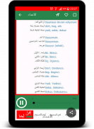 تعلم اللغة التركية صوت و صورة screenshot 7