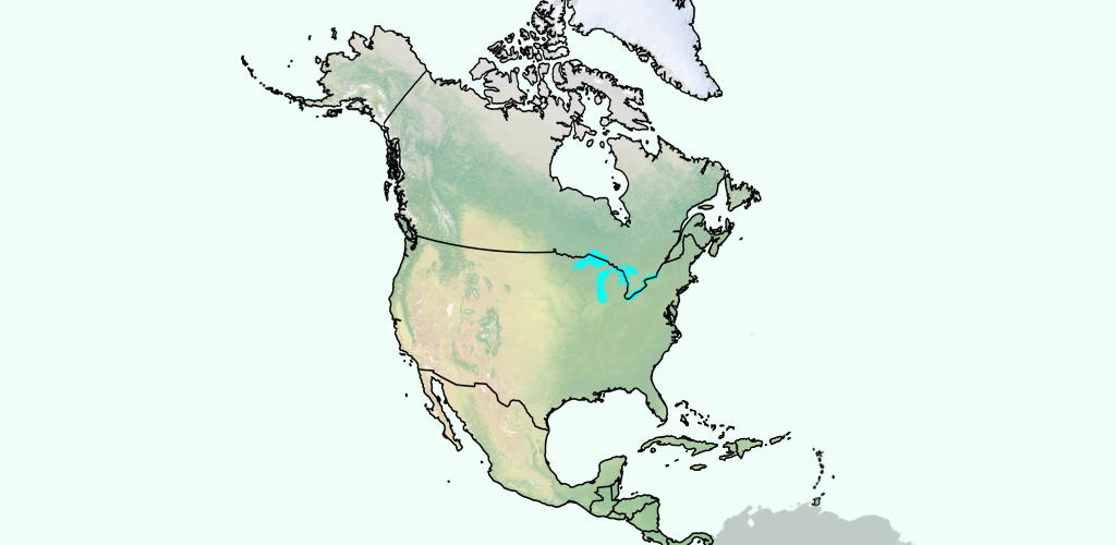 find the countries of north america quiz