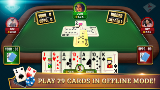 29 Card Game Plus screenshot 15