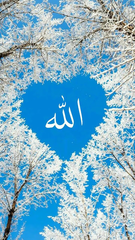 Allah Wallpaper | Allah wallpaper, Allah, Islamic wallpaper iphone