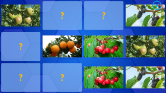 Fruits and Vegetables for Kids - Flashcards Puzzle screenshot 12