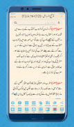 Sistani Tauzeeh - Urdu screenshot 7