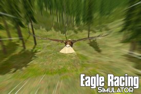 Eagle Racing Simulator: Birds Race Game screenshot 3
