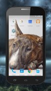 Fighting Dogs Live Wallpaper screenshot 3