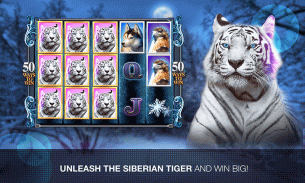 Slots Super Tiger Casino Slots screenshot 5