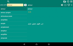 Arabic French Dictionary screenshot 4