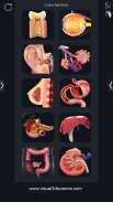 My Organs Anatomy screenshot 12