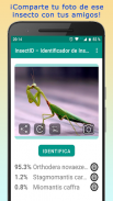 InsectID – Identifica Insectos screenshot 7