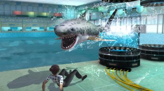 Whale Shark Attack Simulator screenshot 1