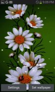 White Flowers Beauty LWP screenshot 0