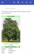 Ornamental trees screenshot 4