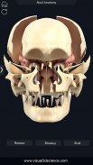 Skull Anatomy Pro. screenshot 3