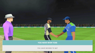 T20 Slog Cricket screenshot 4
