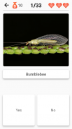 Animals -Quiz about Mammals, Birds, Fish!Zoo quiz. screenshot 3
