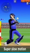 Smashing Cricket - a cricket game like none other screenshot 3
