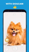 DogCam  - 狗自拍过滤器和相机 screenshot 7