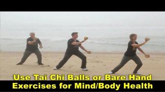 Tai Chi Fit STRENGTH screenshot 1