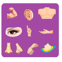 Body Parts Icon