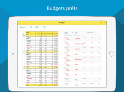 Budget - Finances Personnelles, Argent et Dépenses screenshot 7