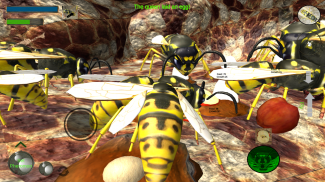 Wasp Nest Simulator - Insect and 3d animal game screenshot 4