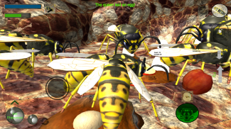 Wasp Nest Simulator screenshot 4