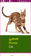 Learn Tamil Wildlife and Body Parts Names screenshot 11