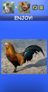 Mix Aminals. Animal morphing screenshot 14