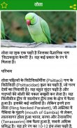 Birds Information in Hindi screenshot 3