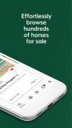 Whickr Buying & Selling Horses screenshot 4