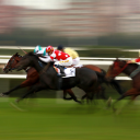 Singapore Horse Racing Live