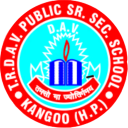 TR DAV PUBLIC SR. SEC. SCHOOL