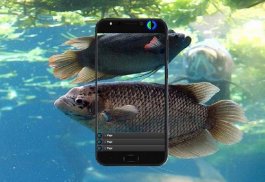 Freshwater Pond Artificial Fish Feed screenshot 2