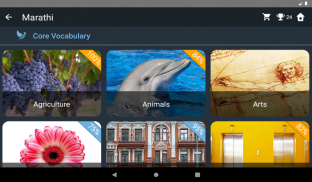Marathi Language Tests screenshot 8