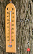 Thermometer (+StatusBar +Wear) screenshot 1
