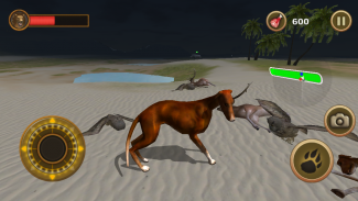 Bird Dog Simulator screenshot 1