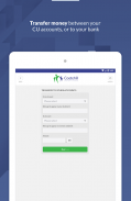 Cootehill Credit Union screenshot 2
