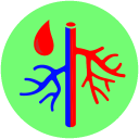 Maladies Vasculaires