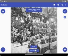 Colorize Images screenshot 3